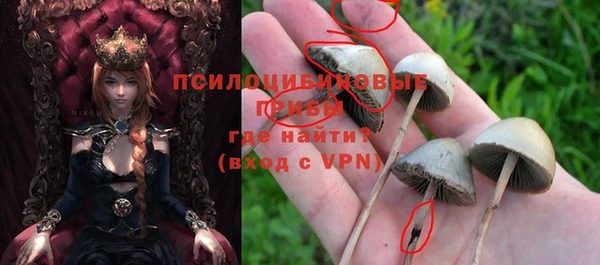 ALPHA PVP Заволжье