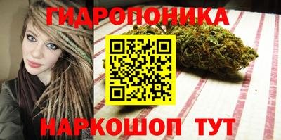 стафф Гусев