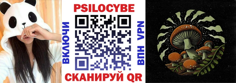 где найти наркотики  Каменск-Шахтинский  Псилоцибиновые грибы Cubensis 