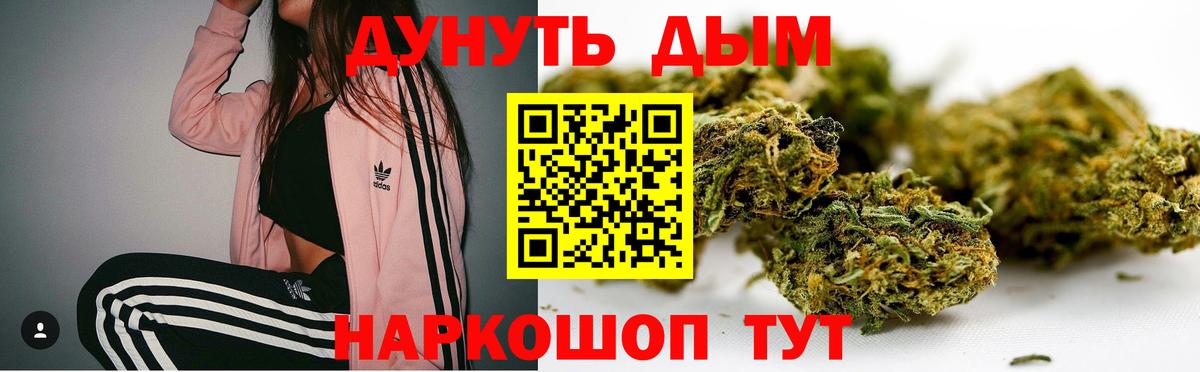 Канабис тримм  Каннабис OG Kush  Вход с VPN  Каменск-Шахтинский  Марихуана OG Kush 
